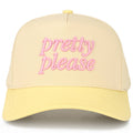PRETTY PLEASE Letter Embroidered on Two Tone Trucker Hat