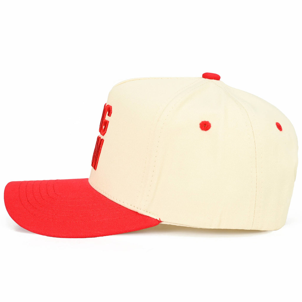 DOG MOM Embroidered Two Tone Trucker Cap