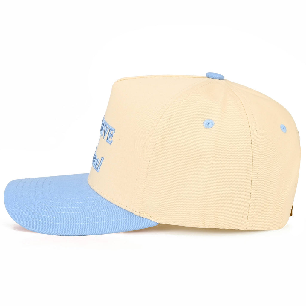 EXPENSIVE AND DELUSIONALTrucker Hat