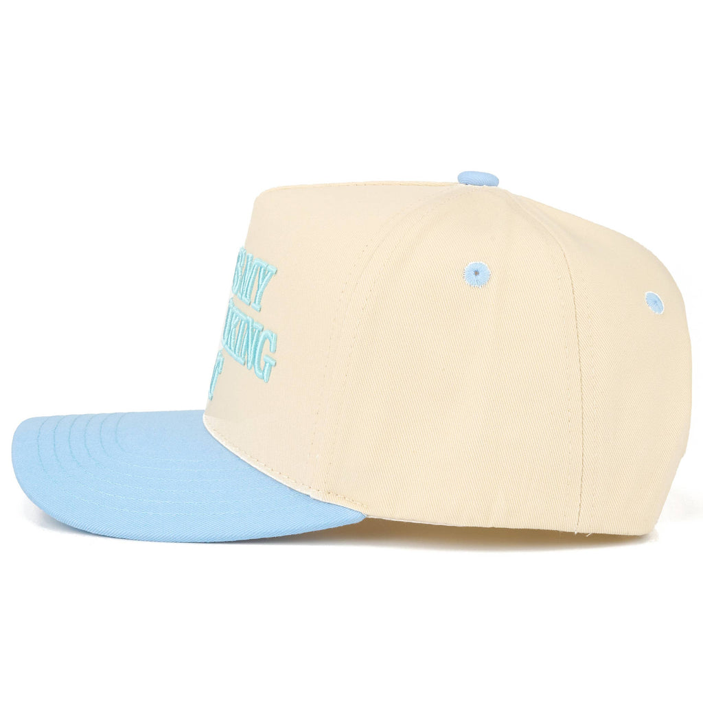 THIS IS MY DOG WALKING HAT Letter Two Tone Trucker Hat